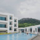 포항애견