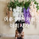 이건사자 | 여주 애견카페 찾다가 가본 아기 사자, 천연 잔디 운동장 솔직 리뷰
