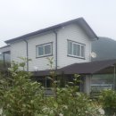 금관사과향기 이미지