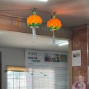 (주)홍성신문 | 단가네 속살 칼국수 홍성 노포 맛집 방문 후기