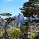빛의 열주 티스토리