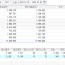 프로비젼트레이딩 이미지