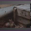 유현문화관광지 이미지