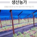 땅끝홍삼
