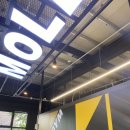 몰리짐 문덕 이미지