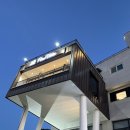 피노펠리즈 이미지