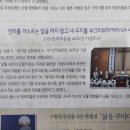 벌교태인 이미지