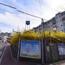 송현주공아파트 이미지