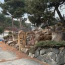 [경상남도] 숲뷰캠핑장 산청 경호강캠핑장 사이트 A2,A3 다녀온 후기
