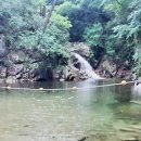 #3586 나는 누구인가? - 淸潭沼(청담소) Cheongdam Swamp 이미지