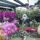 맛있는정원 이미지