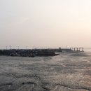 빨간바다 이미지