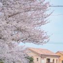 대흘보건진료소 이미지