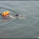 에스티엠 이미지