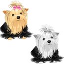 석촌동물병원 이미지