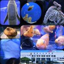 유영산업 | 여수 가볼만한곳 가성비 실내 체험 박물관 전남해양수산과학관