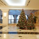 하이원 그랜드호텔 이미지