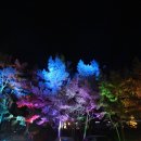 달빛호수 이미지