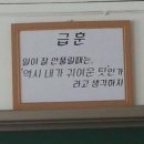 연아게스트하우스 | [시즈오카]도쿄에서 시즈오카 여행(후지산 꿈의대교, 신후지역 호텔)