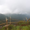 팔공산 하늘정원 이미지