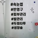 윤더뷰티