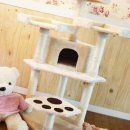 편리한집 이미지