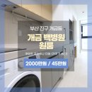 포르투나 더 원 이미지