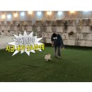 어서오시개냥 애견펜션 이미지