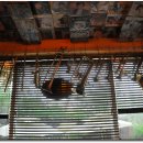 꿈꾸는웰빙 이미지