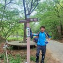 철쭉봉 Daum카페