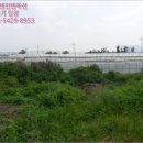 대정읍-4 이미지