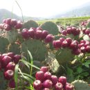 웰빙라이프 이미지