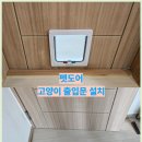 도안 휴먼시아10단지 | 대전펫도어설치 고양이출입안전문시공 도안휴먼시아10단지
