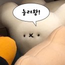 꽃나드리(협동조합)