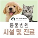 아이조은동물병원 이미지