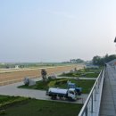 세계승마클럽 이미지