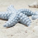 콜라닉