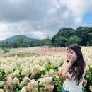 동쪽마을 이미지