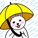 깐돌이네 애견미용호텔 이미지