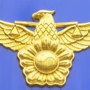 주정차38 이미지