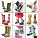 (주)레인아이 이미지