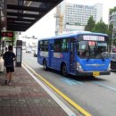 율전버스 이미지