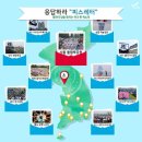 사단법인 세계평화도시대회 이미지