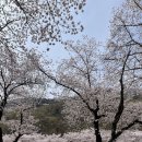 옥포할인마트 옆 이미지