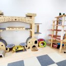 고양이의 봄, 묘랑묘랑 이미지