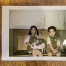 순복이네 스핑크스 이미지