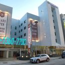 브라운도트 이미지