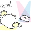 둥지분식
