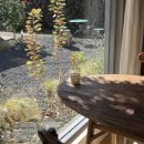 하도리안 | 제주브런치카페 추천ㅣ 구좌 하도리 &#39;릴로&#39; N차 방문 후기