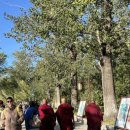 이화원(용궁) 이미지